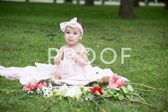 KPP_0458