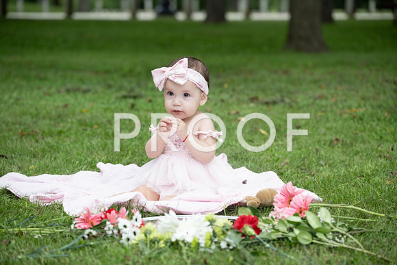 KPP_0464