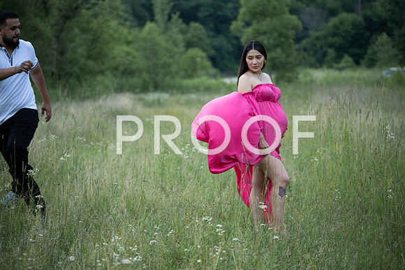 KPP_4449