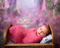 KPP_0637-Edit