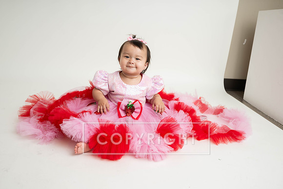 KPP_6206