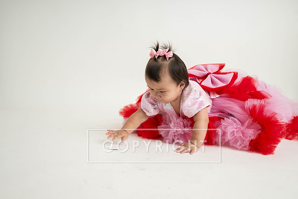 KPP_6254