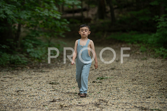 KPP_3356