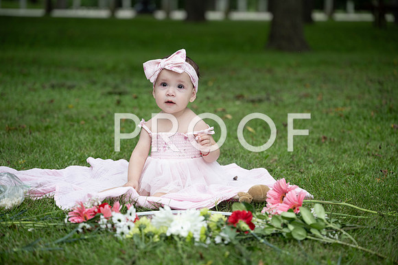 KPP_0469