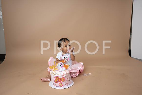KPP_1390