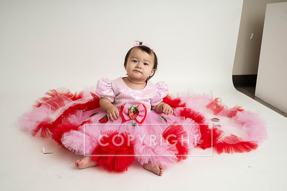 KPP_6203